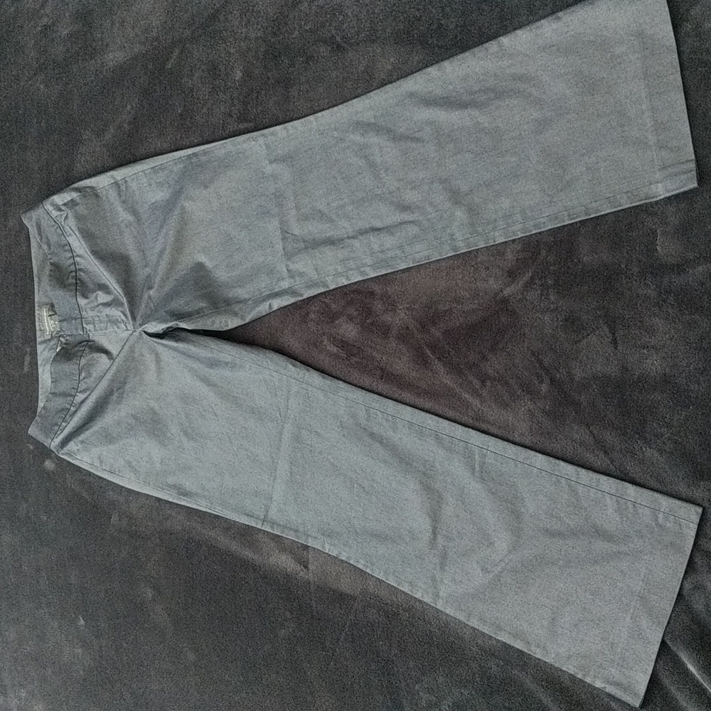 Banana Republic Slate Blue Metalic Tint Pants
